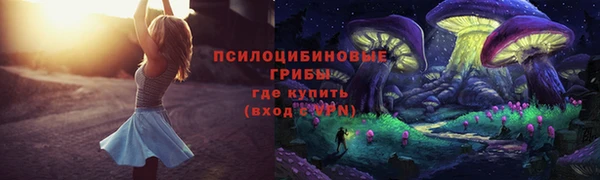 ECSTASY Вяземский