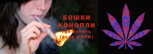 ECSTASY Вяземский