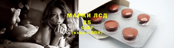 ECSTASY Вяземский