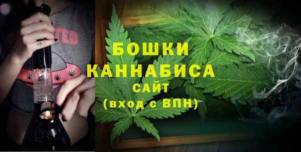 стаф Горнозаводск