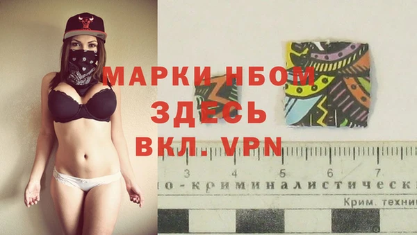 стаф Горнозаводск
